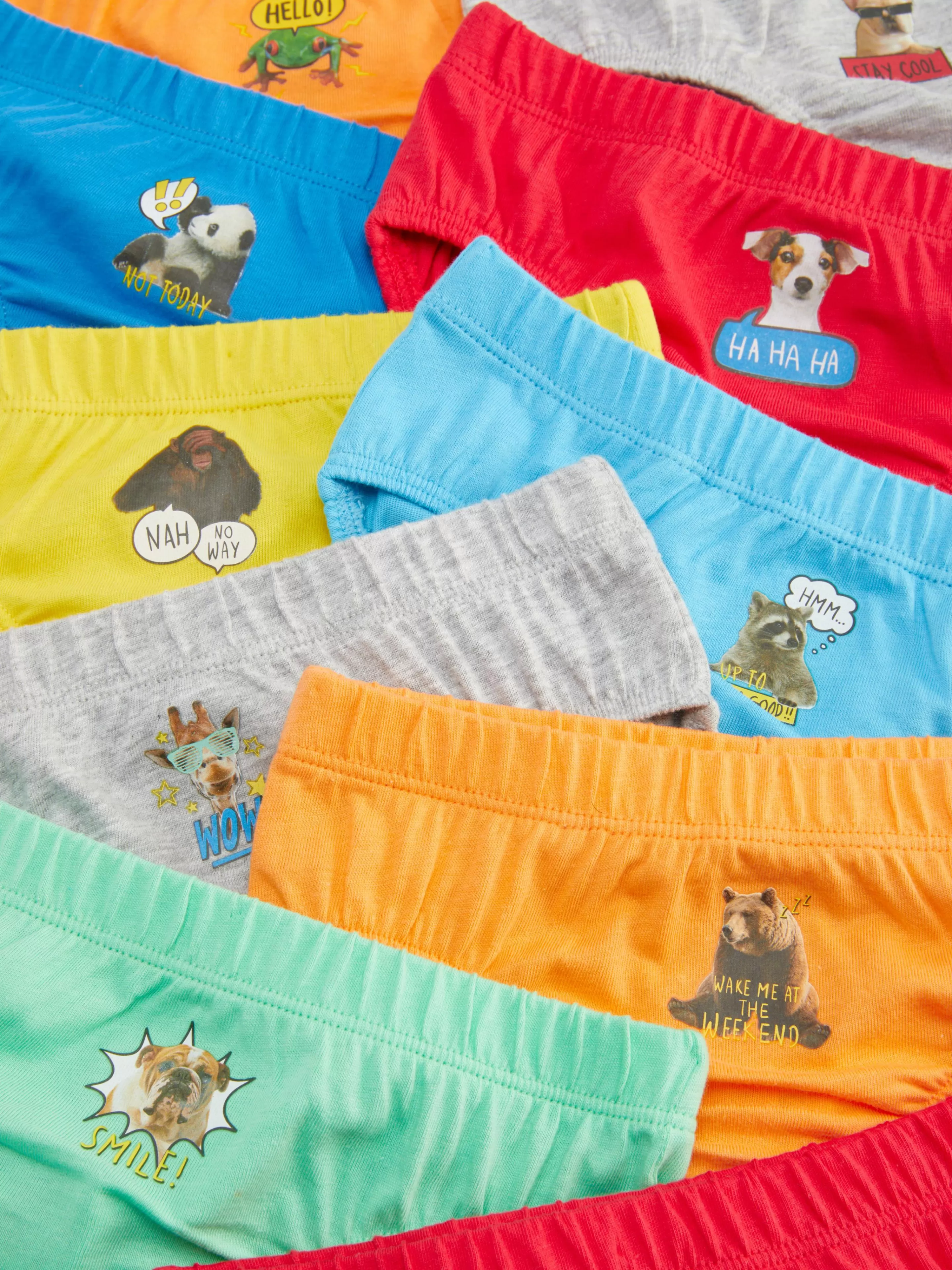 Niños Primark Ropa Interior | Pack De 10 Braguitas Con Estampado De Animales