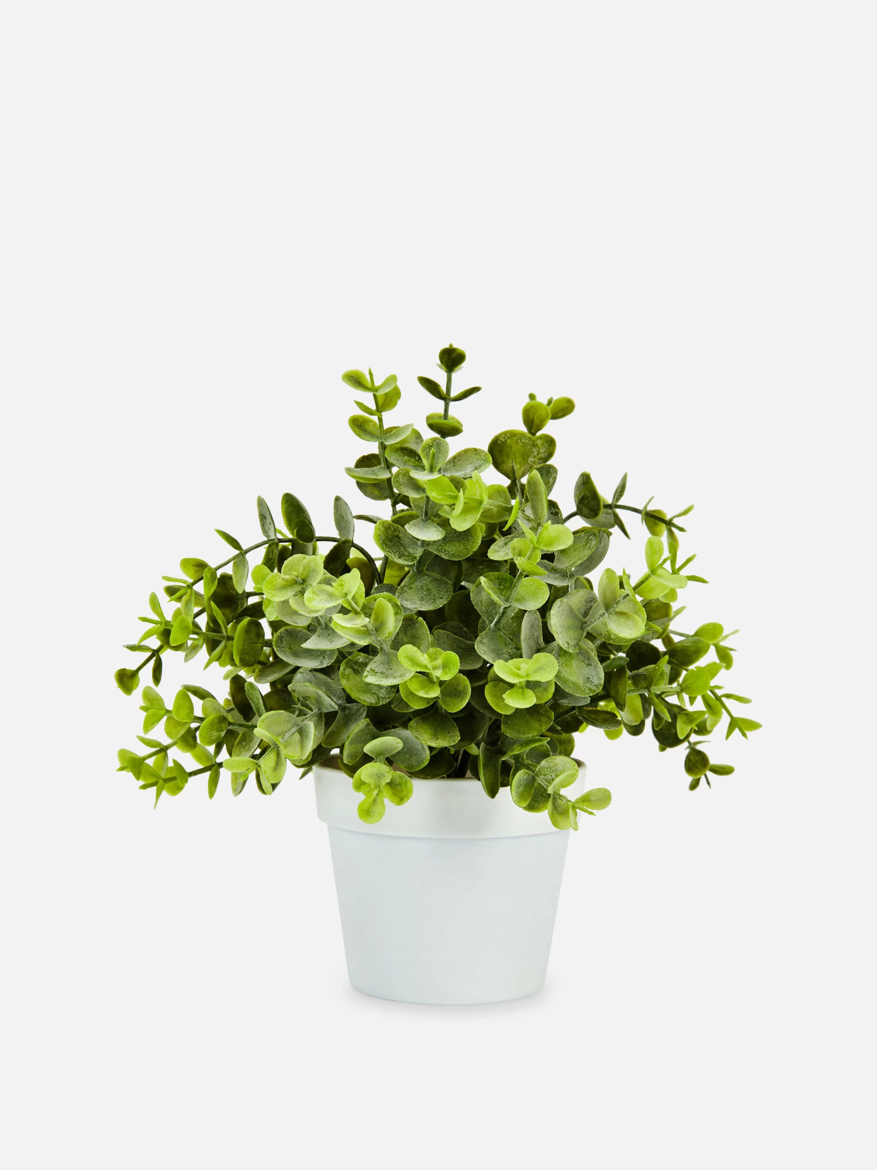 Primark Plantas Y Flores Artificiales | Pequeña Planta De Eucalipto Artificial